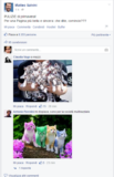 #gattinisusalvini – Il flash mob sulla pagina di Salvini