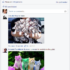 Social Network: come usarli